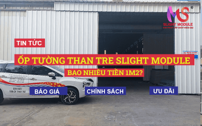 Bao nhiêu tiền 1m2 ốp tường than tre?