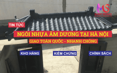 Cần mua Ngói nhựa Âm Dương tại Hà Nội? Alo Slight Module!