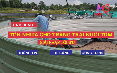 Tôn Nhựa cho trang trại nuôi tôm: Giải pháp tối ưu, hiệu suất hơn.