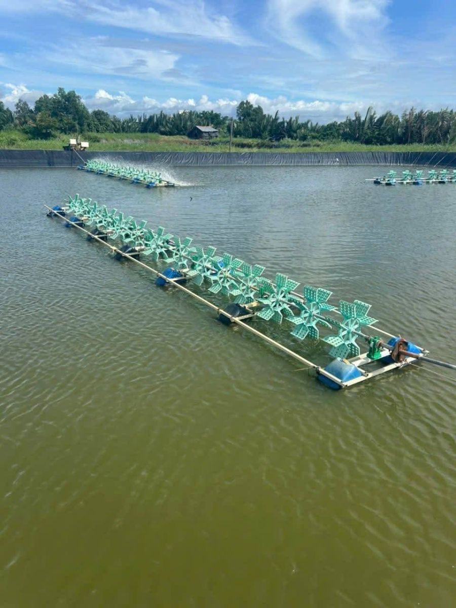 Dàn quạt dài nhiều cánh, hai bên là ống kẹp phao