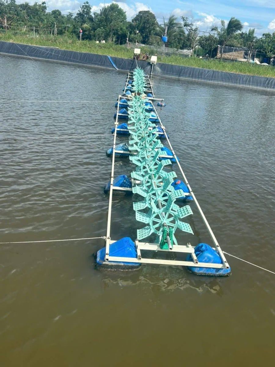 Giàn quạt nước khung composite trong ao tôm